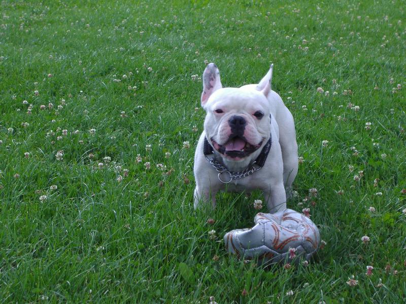 Foto: A je po fotb�lku :-)-A je po fotb�lku :-)