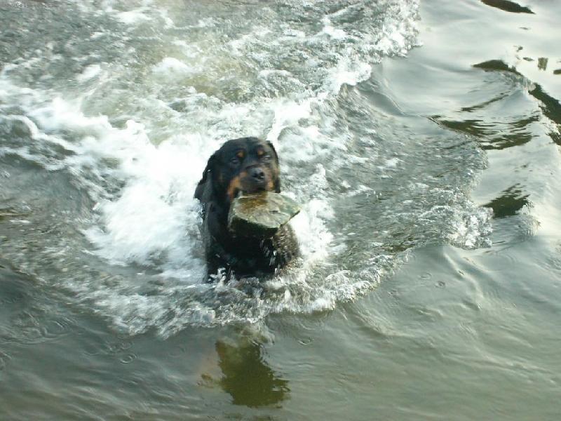 Foto: zachr�nce-miluji lovit kameny