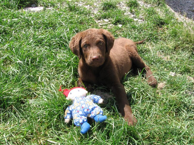 Foto: Henrietta Harmonny-f�ne�ka, 2 m�s�ce