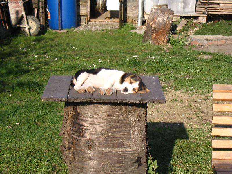 Foto: Sindy- le��c�, sp�c�..