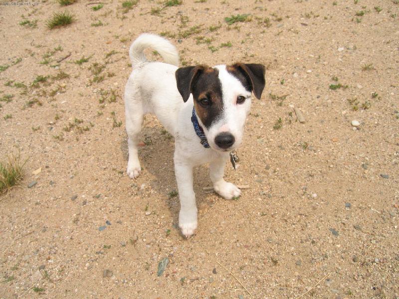 Foto: Annie �un�e