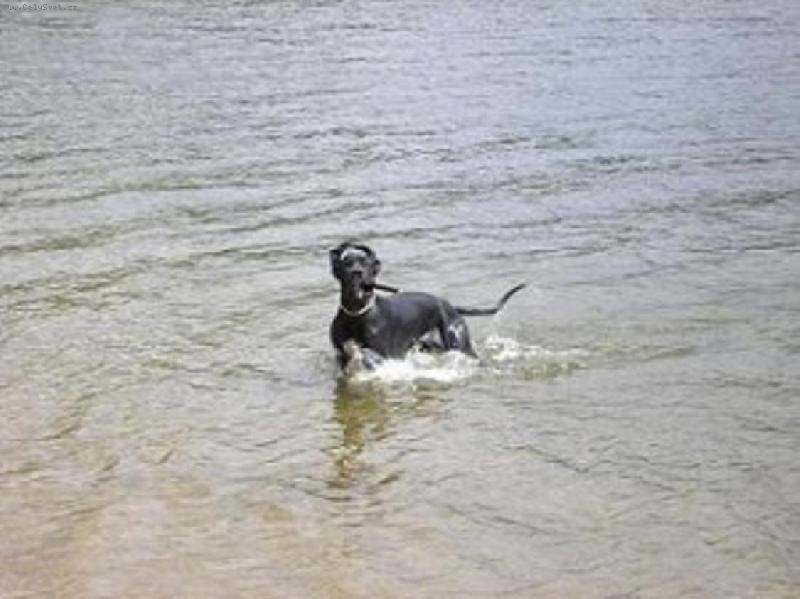 Foto: jsem frajer,jako t�ta..-taky m�m doutn�ka..:)