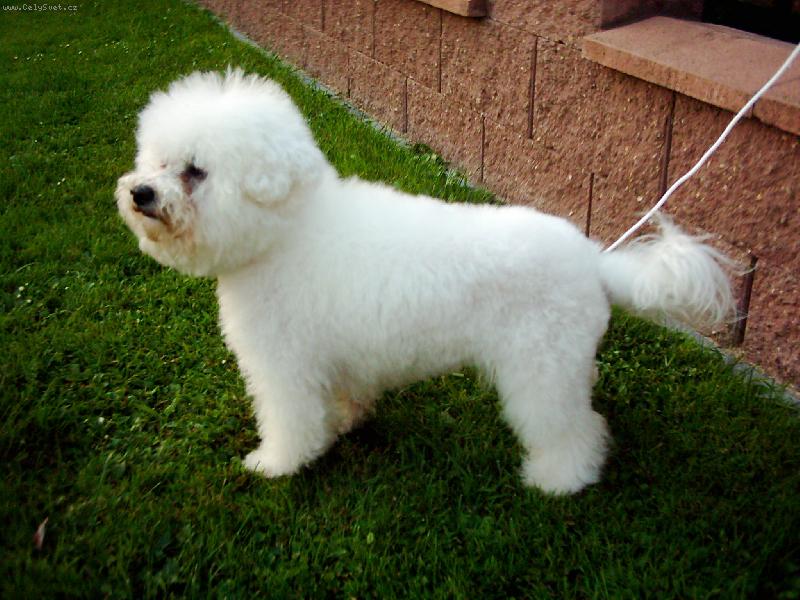 Foto: Fotit?To snad n�!-no tak dob�e