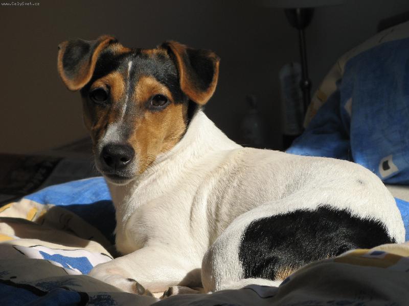 Foto: Eli�ka-Toto je na�e Eli�ka, nyn� 9 m�s�c�.