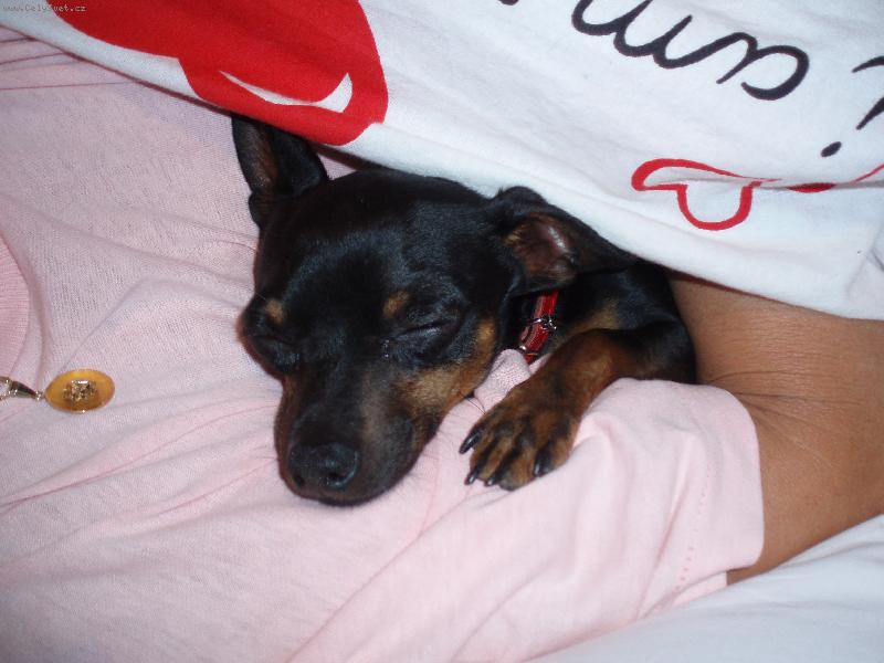 Foto: Nejobl�ben�j�� ze v�ech m�st:)