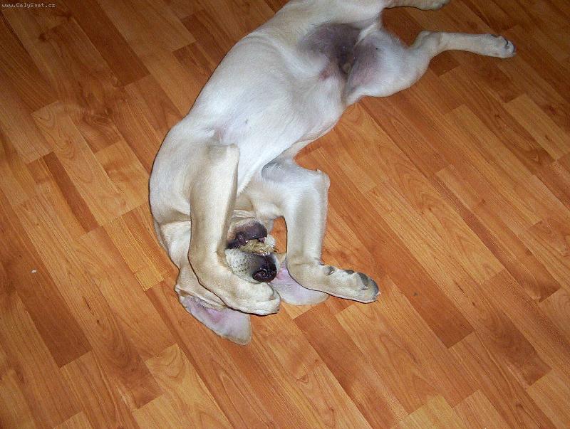 Foto: Max�k-J� se ale styd�m!!!!!!!