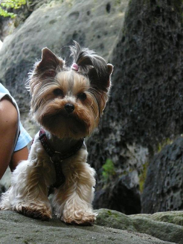 Foto: Nellinka - www.nellinka.wbs.cz-Nellinka ve skal�ch