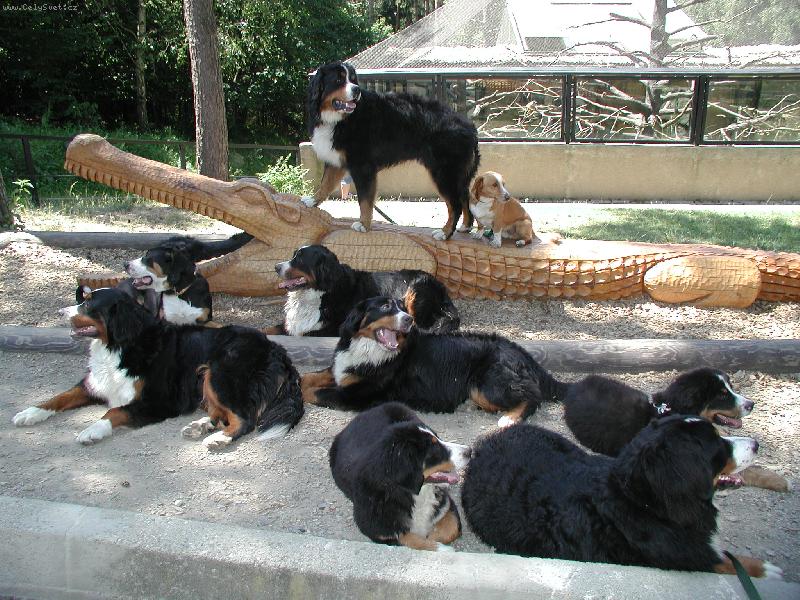 Foto: Rad�kov 07 - sme�ka:))