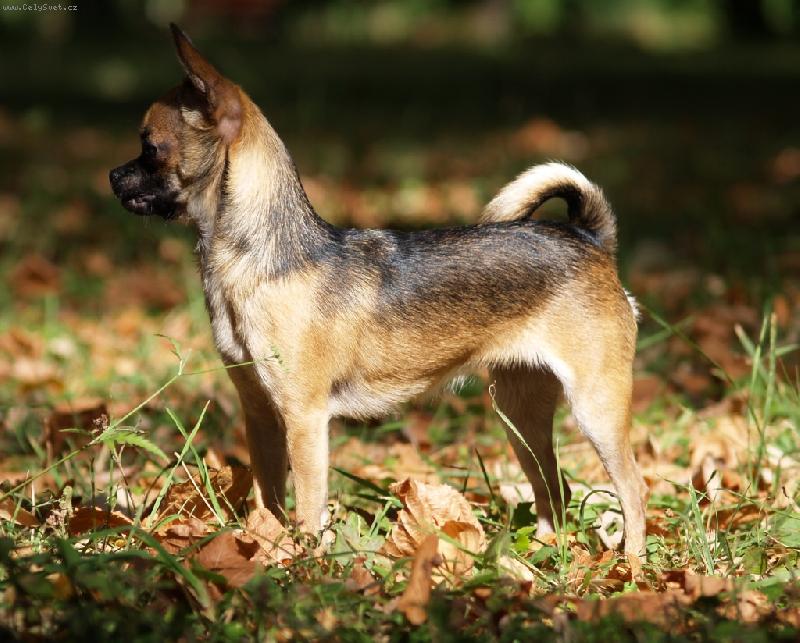 Foto: podzim v l�t�-podzim v l�t�