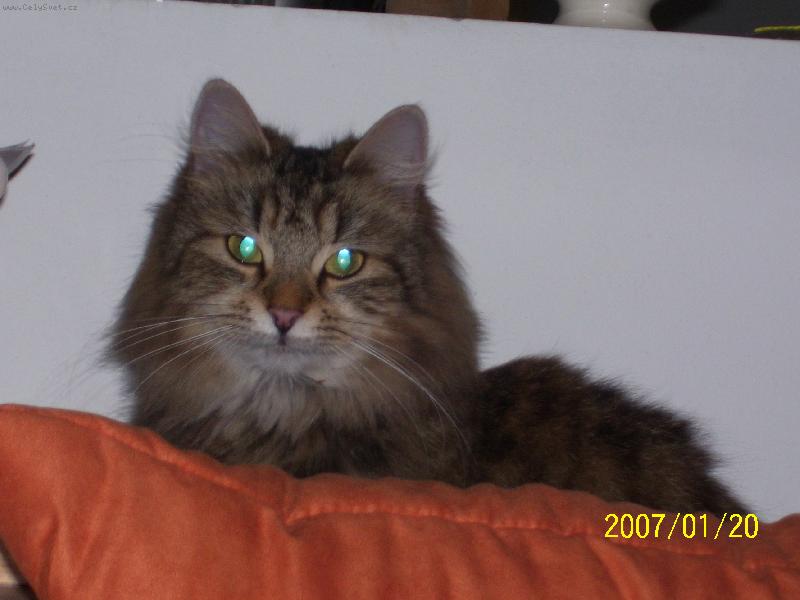 Foto: Mamu-N� mil��ek