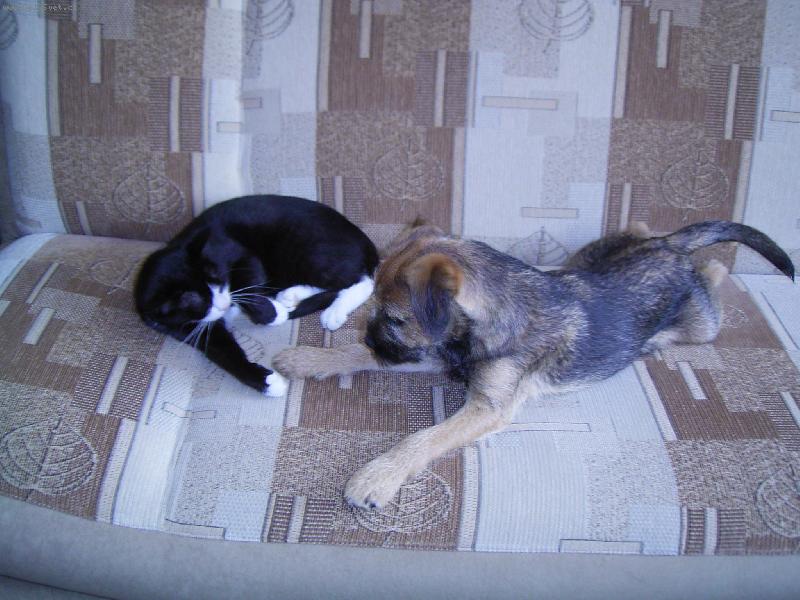 Foto: Argo s na�� m�nou-na gau�i