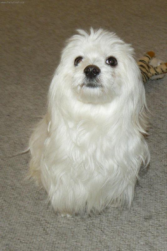 Foto: Kimi-j� chci je�t� kousek dobr�tky