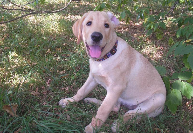 Foto: schov�v�m se p�ed slun��kem