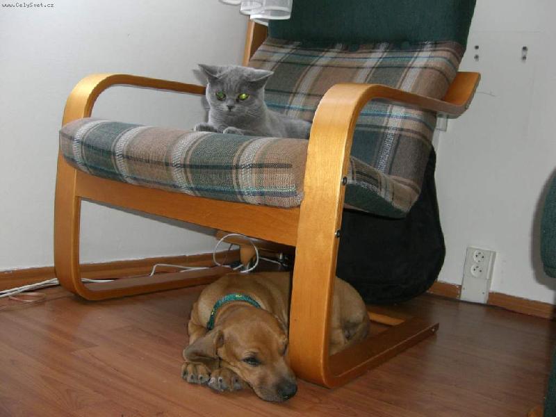 Foto: Danny & Pr�ka-��st na�� rodinky