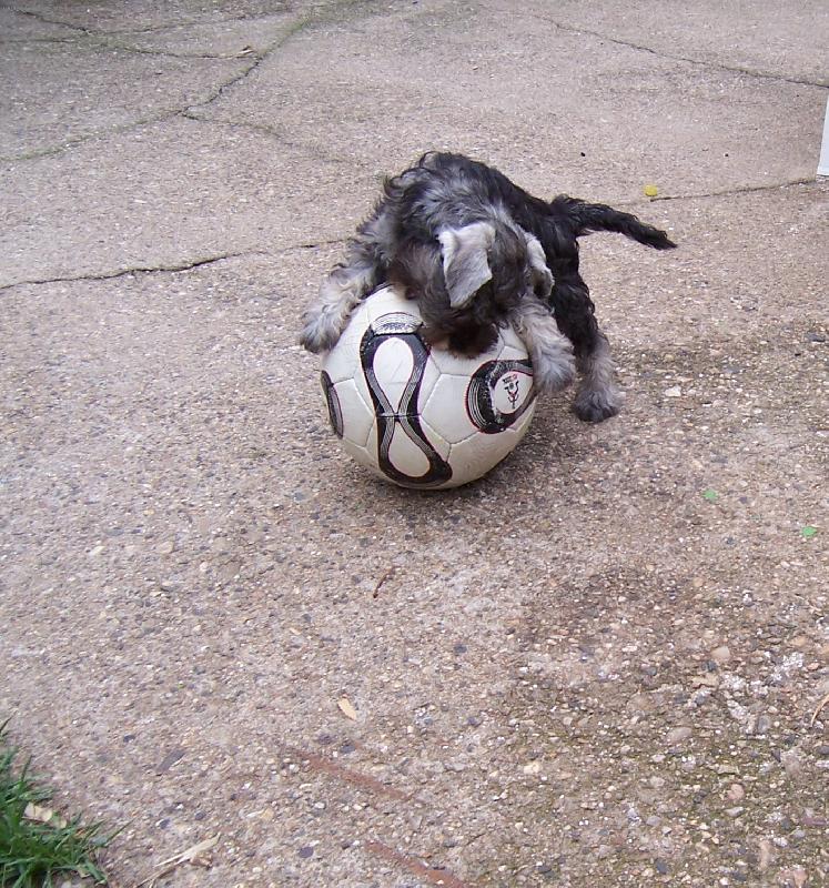 Foto: Mal� sportovkyn�-Chessie