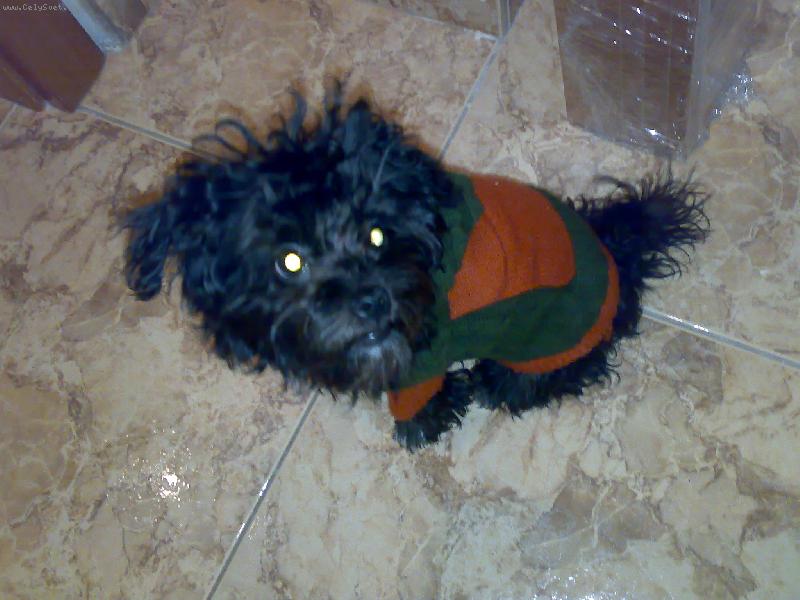 Foto: Corinka-p��prava na proch�zku v zim�