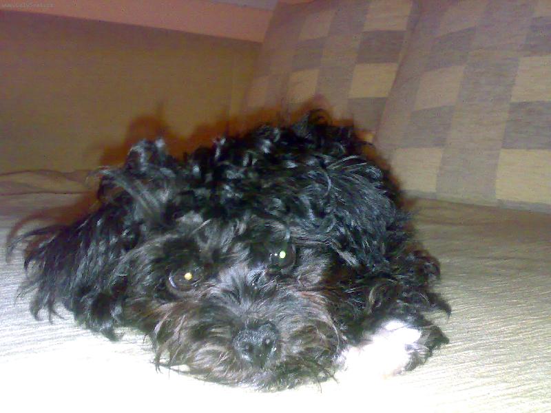 Foto: Cory-to je nuda....