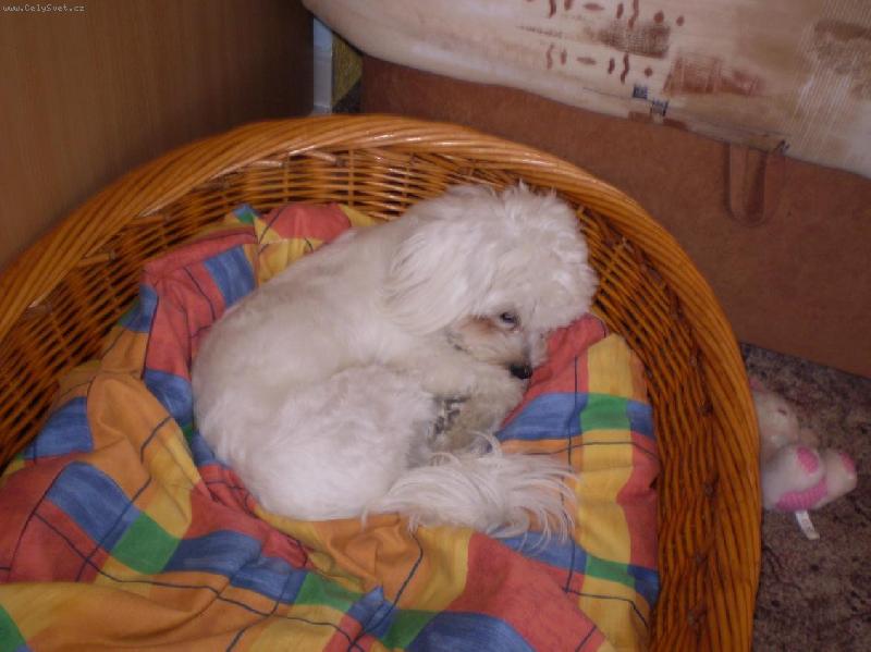 Foto: Jako miminko-Monty