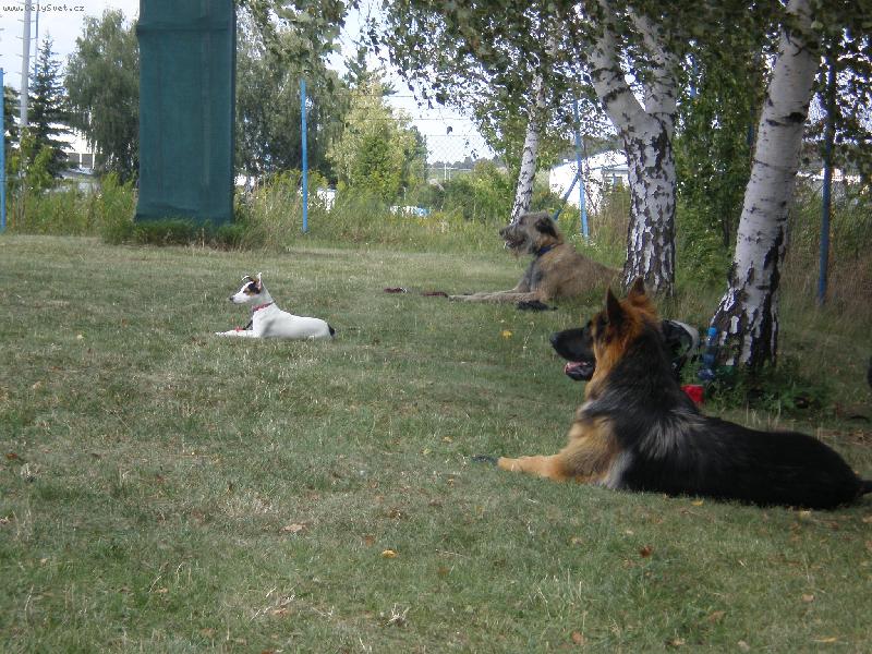 Foto: Na cvi��ku