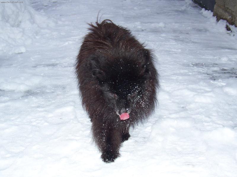 Foto: Dakim Joven-Ahoj! ��kali mi Kim a tady jsem m�l u� sedmn�ct.