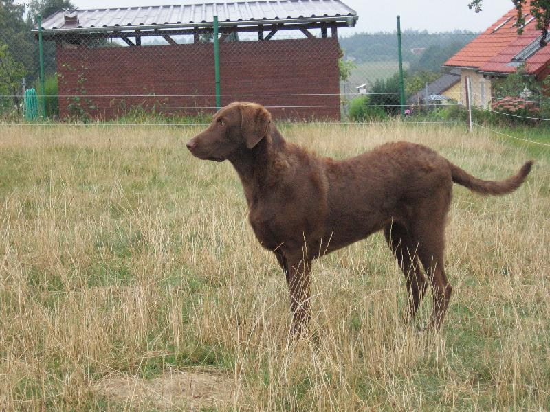 Foto: Henrietta Harmonny, Kele�sk� poklad-6 m�s�c�