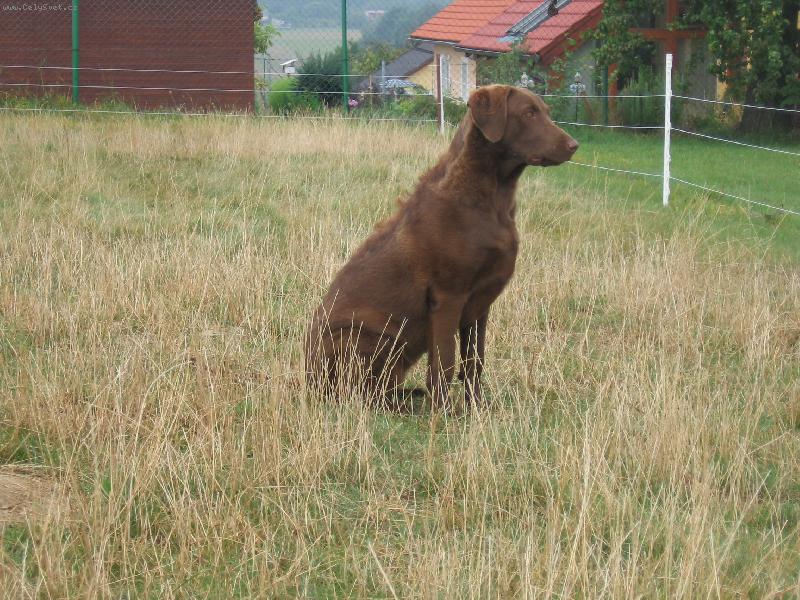 Foto: Henrietta Harmonny, Kele�sk� poklad-6 m�s�c�