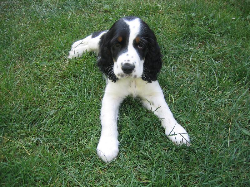 Foto: Amy ze �ip�i-Na chv�li jsem v klidu, ale jen na malou.