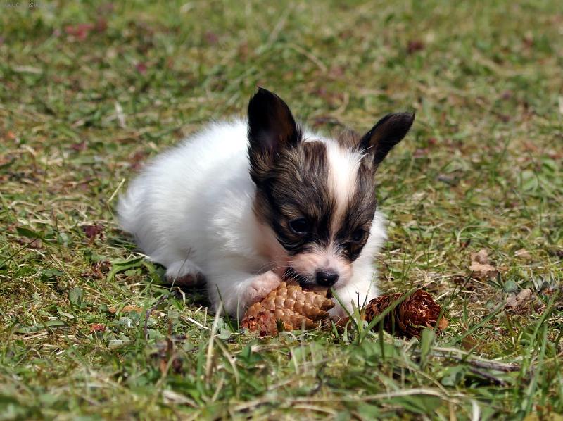 Foto: Bettynka m� �i�ti�ku-M�m dobrou �i�ti�ku - ned�m!