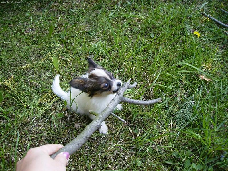 Foto: Bettynka m� klac��ek :-)-Dej sem ten klac�k!!