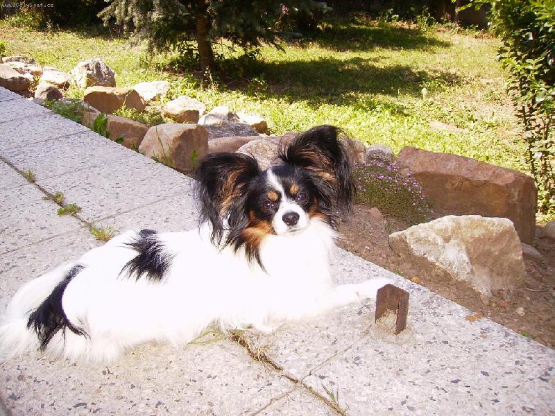 Foto: Denny - 20 m�s�c�-To je ze mn� fe��k, co? :-)