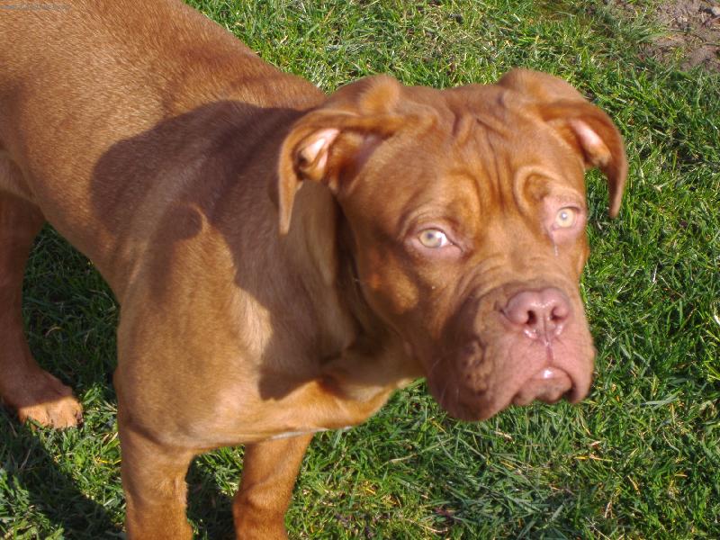 Foto: Na�e Saminka