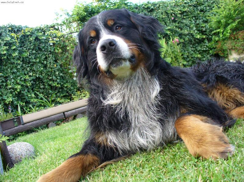 Foto: Prasopes Bad-a ur�it� nen� jedin�, kter� se dok�e takto z��dit :-)