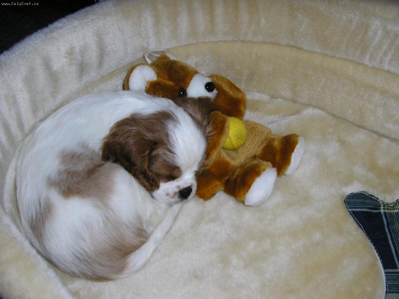 Foto: Bianca-Bianca spink�