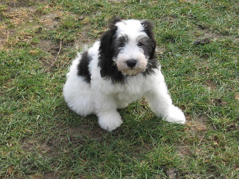 Foto: Mat�sek-batole