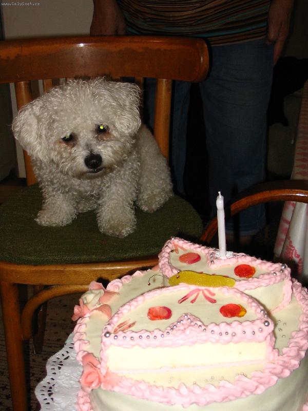 Foto: SISI-To vyzer� ve�mi dobre, pre�o mi to nedaj� ochutna�?