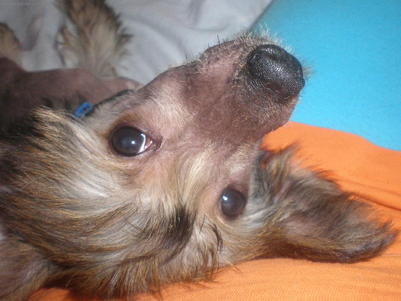 Foto: bezva hra-Lusi