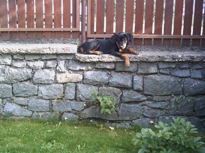 Foto: rotv��e-Sakra, nen� to n�jak moc vyskoko?