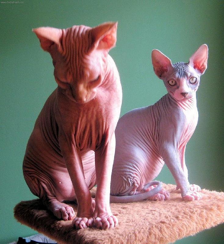 Foto: Mumi a Muty II.-Spolu na �krabadle