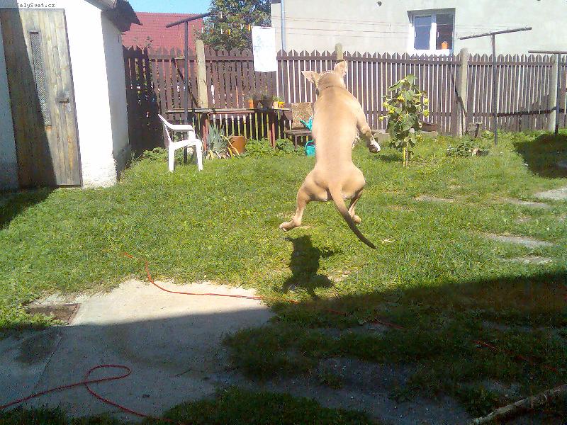 Foto: Arny a jeho skok