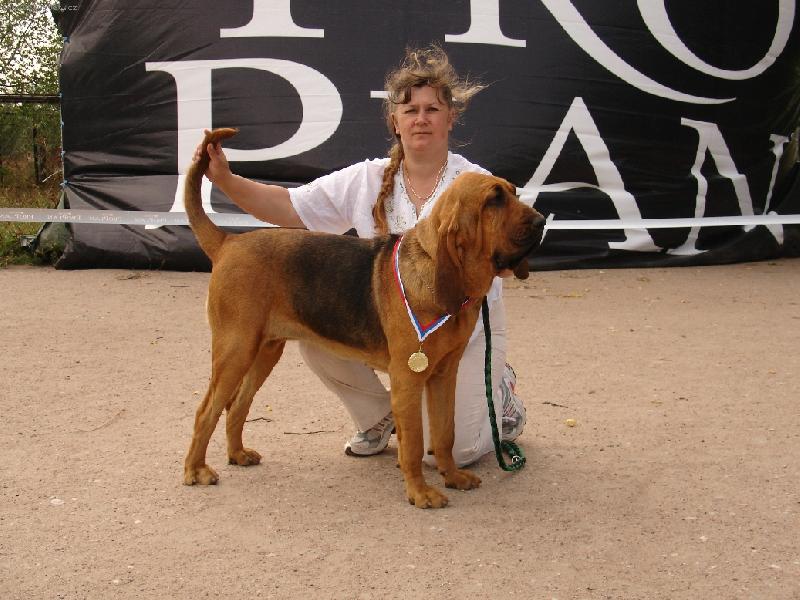 Foto: Wisteria Famous Alhavant-�ikovn� holky