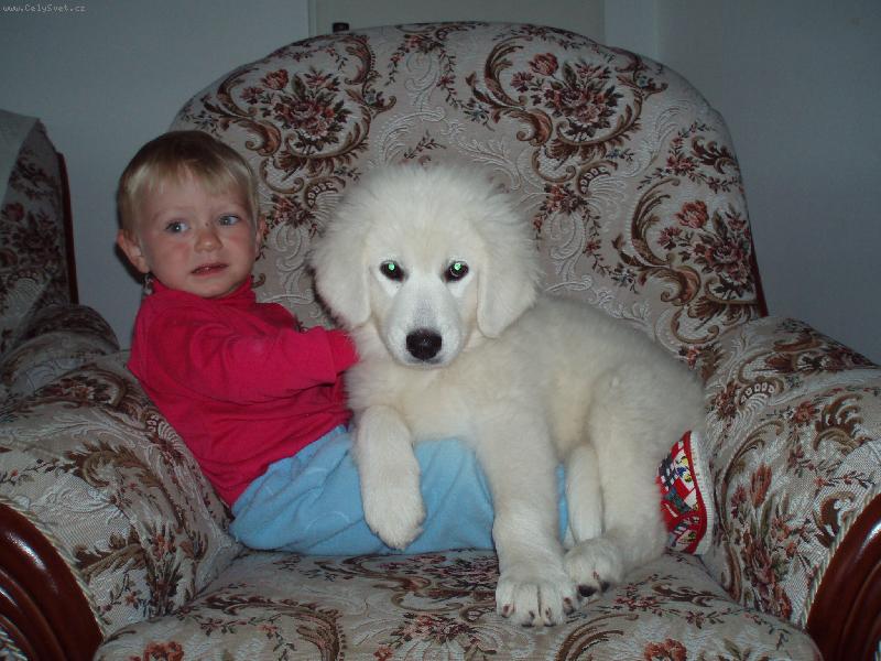 Foto: p��li� t�k�?