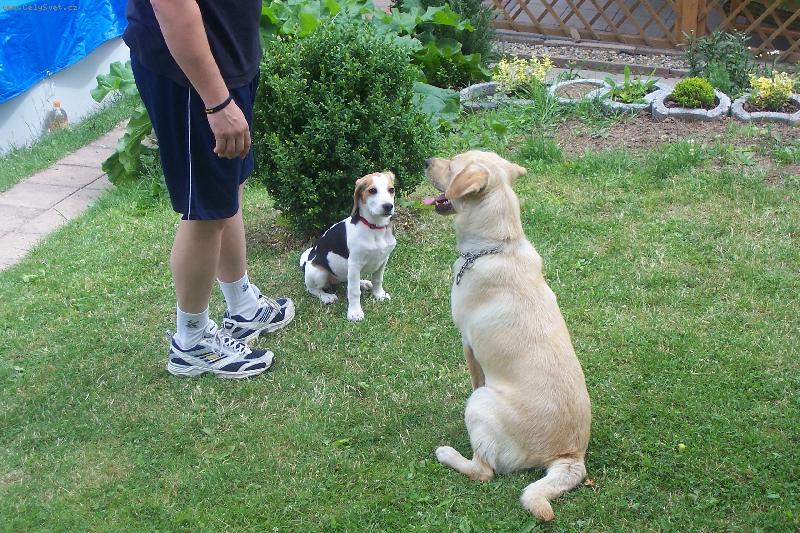 Foto: S�ra a Niky-sednout, hodina za��n�