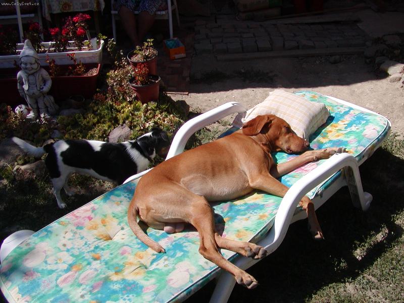 Foto: Mates le��c�, sp�c�