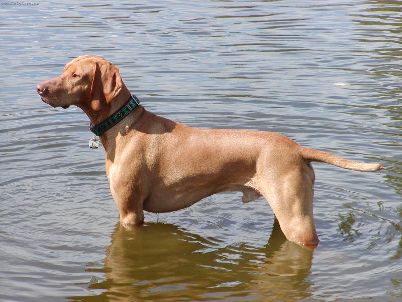 Foto: Mates v Hronu stoj�c�...�um�c� :o)