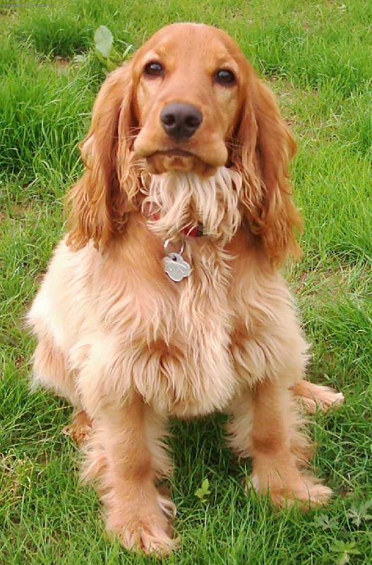 Foto: Niki z Nov�ho Mal�na