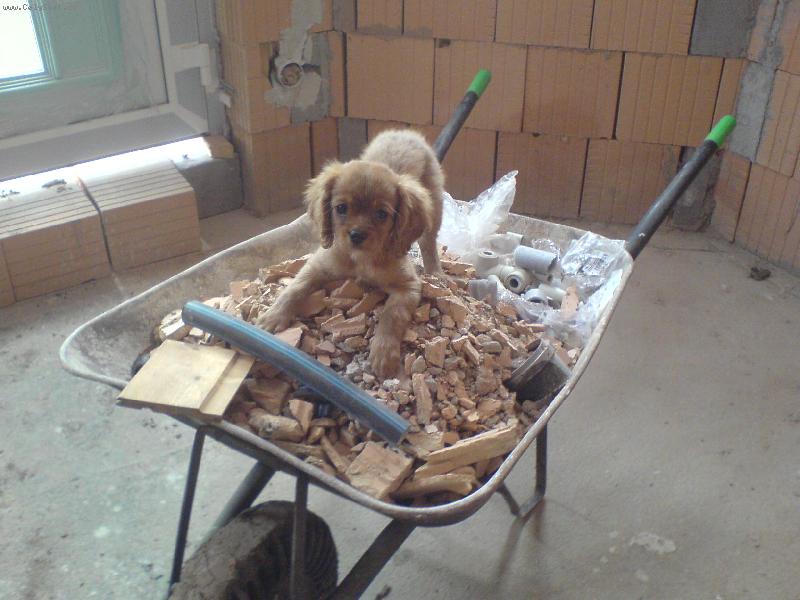 Foto: J� chci taky pomoct