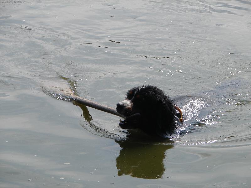 Foto: Uplavalo p�dlo-V�cvi vodn�ch z�chran��� ATC Relax - konec srpna 2007