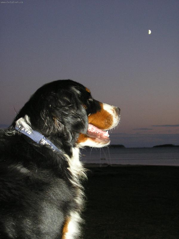 Foto: Jadransk� noc p�ich�z�-Chorvatsko z��� 2007