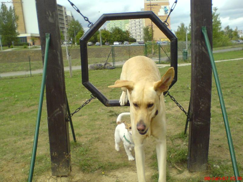 Foto: B�ra-B�ra se nau�ila proskakovat....