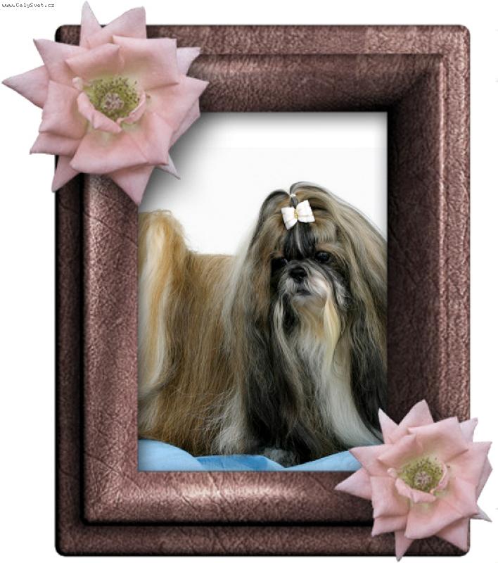 Foto: CH.Jeron Atrei